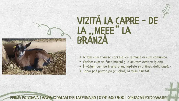 2 - Scoala Altfel la Ferma